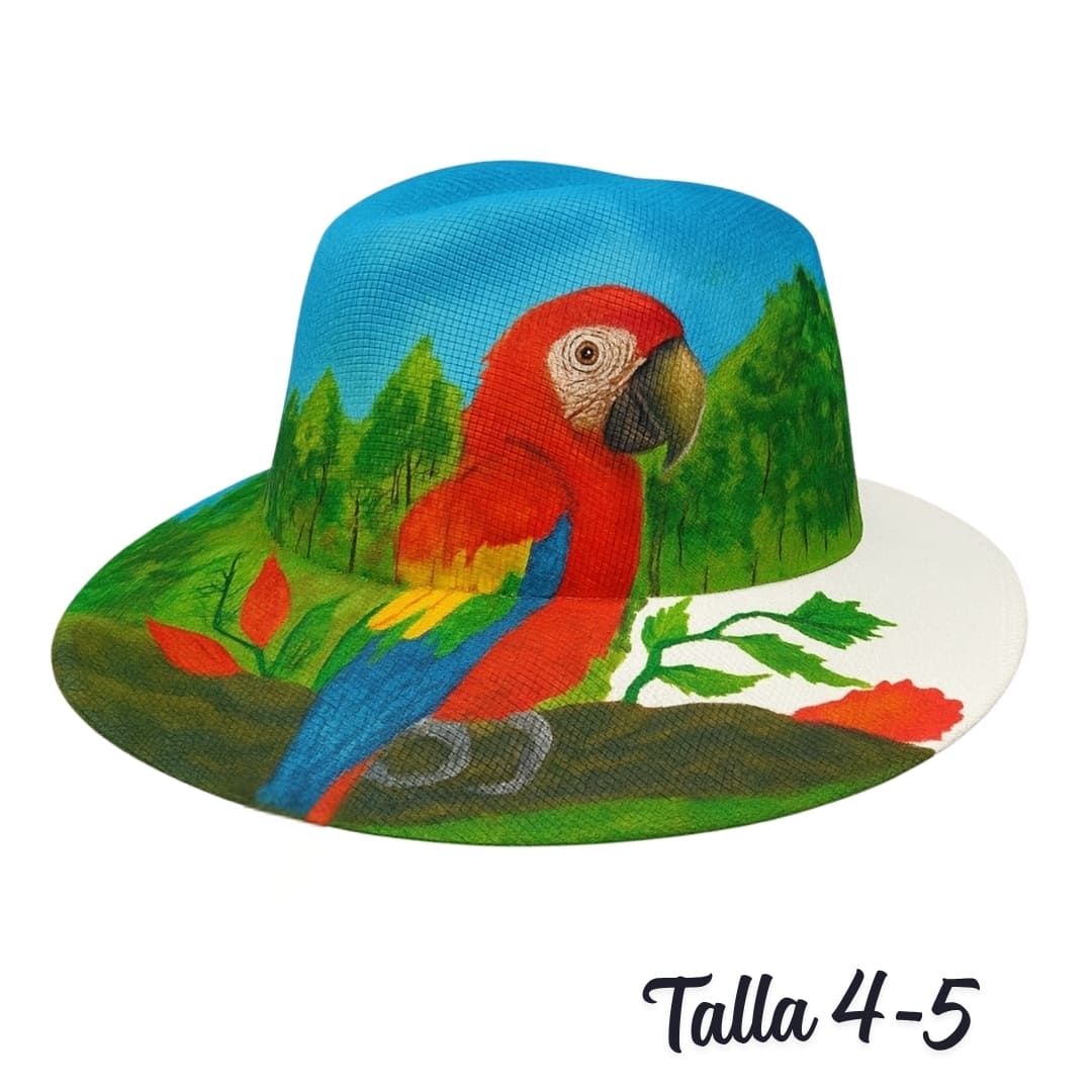 Sombrero pintado guacamaya montañas y cielo